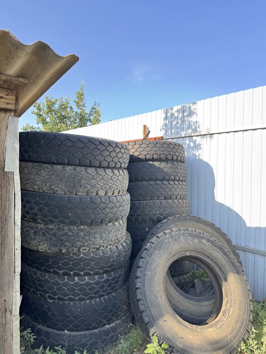 Колеса (баллоны , покрышки , шины, резина) на септик