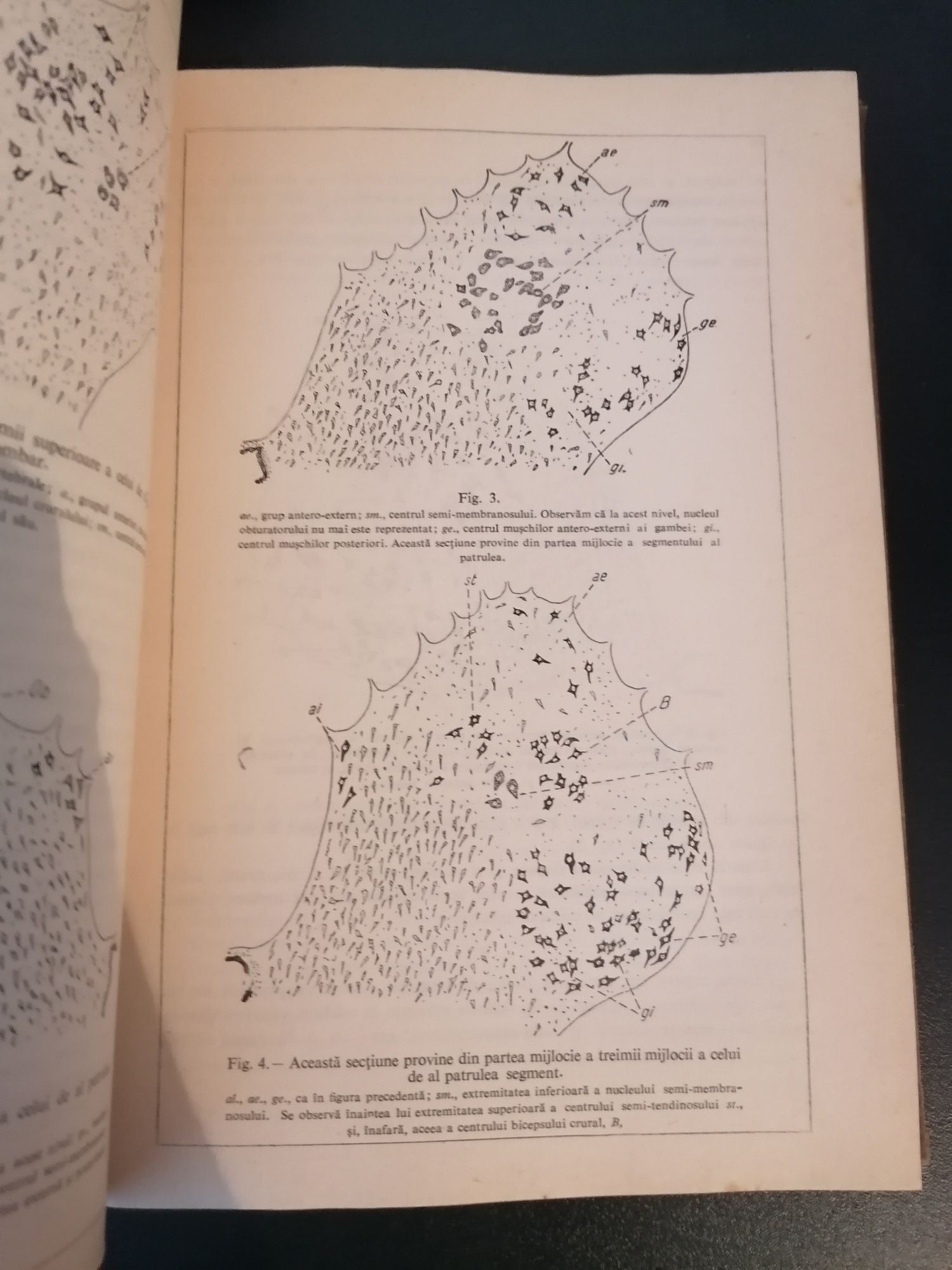 C. I. Parhon, Opere alese, vol. I-Neurologie