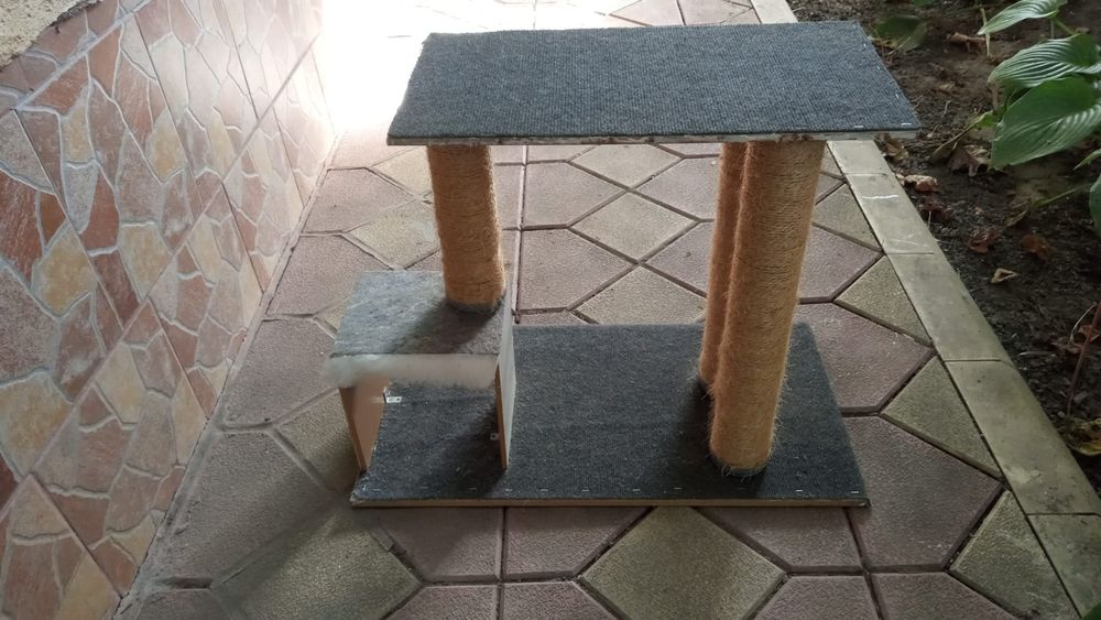 Ansamblu joaca pisici