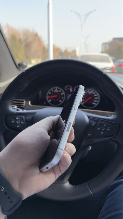 17 pro 256 sim silver