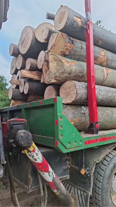 Lemn de foc - fag verde