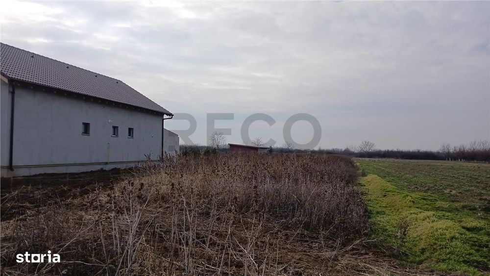 RECO Teren intravilan Biharia