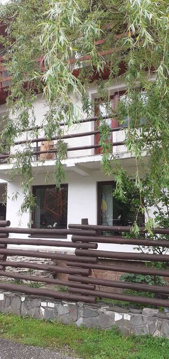 Cazare Busteni, priveliste de vis spre munte - Vila Nik Busteni