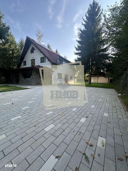 Casa de vacanta vs Afacere la cheie Valea Avrigului