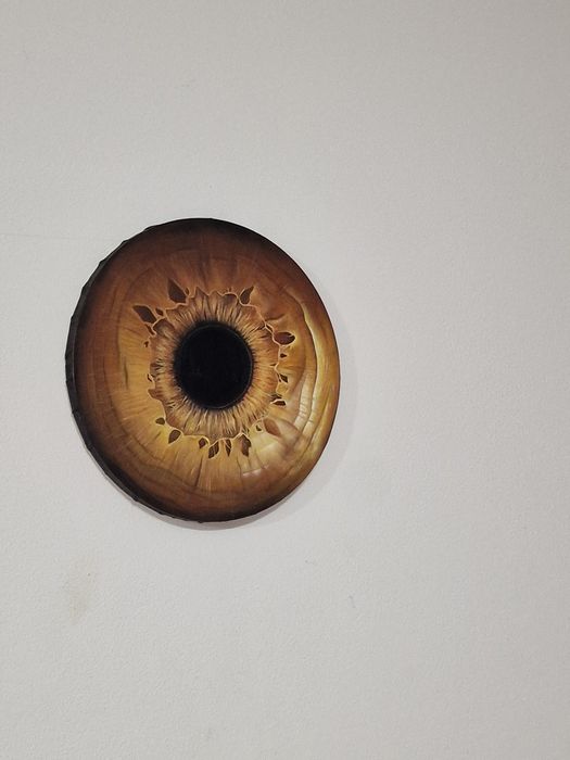 Tablou in ulei iris si pupila