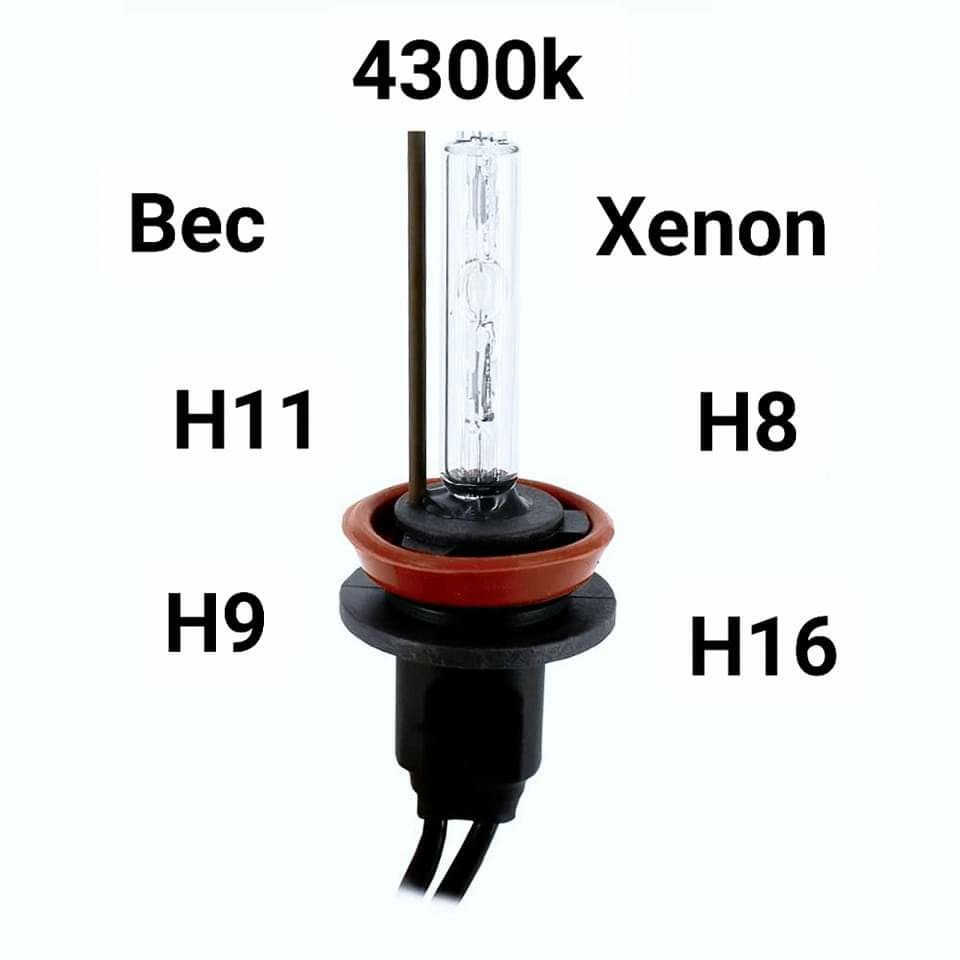 Set Două Becuri Xenon H1,H7,H8,H9,H11,H16 Nuanța Culorii 4300k/6000K