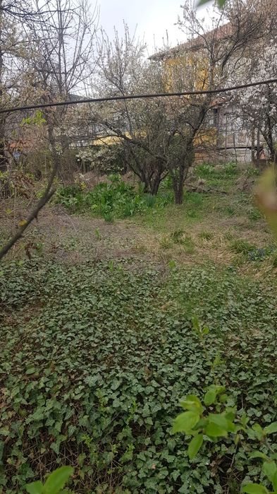 Продава се Къща в с. Коняво, Област Кюстендил - 60 кв.м за 332 €/кв.м - Снимка #4