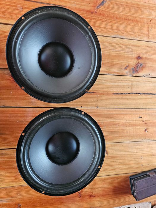 2 difuzoare Visaton WSP 26 S 25 cm (10")