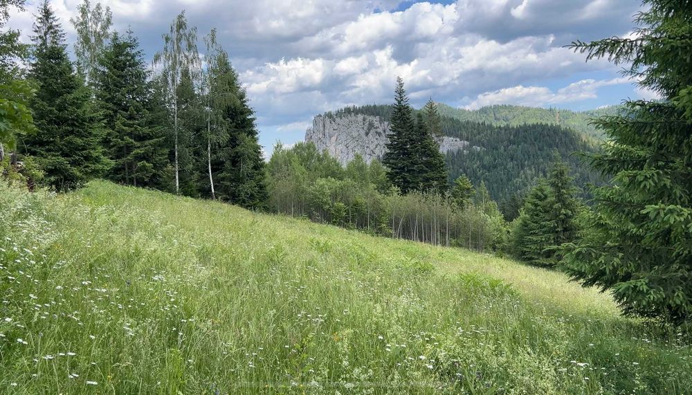 Teren la Munte, Cheile Bicazului, cu vedere panoramică