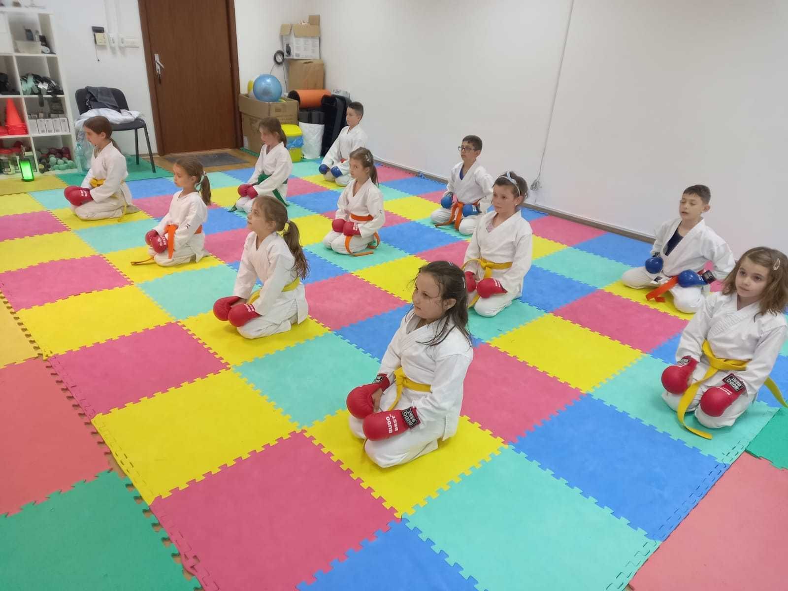 Cursuri de karate copii 4-18 ani