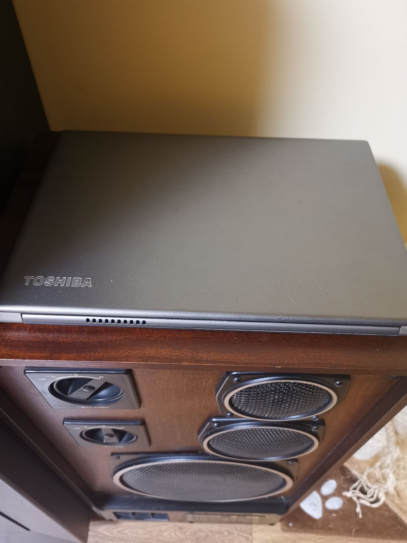 Toshiba Portege Z30