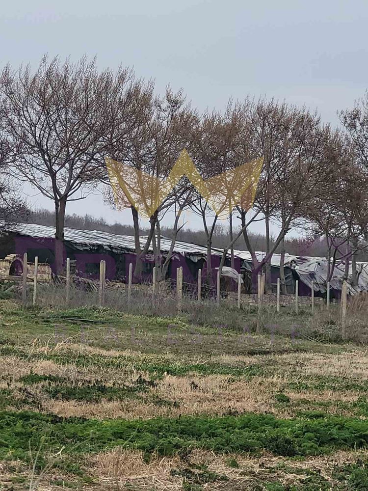 Парцел в Варна, област-с.Осеново площ 1206кв.м. цена 45000  с ток и в