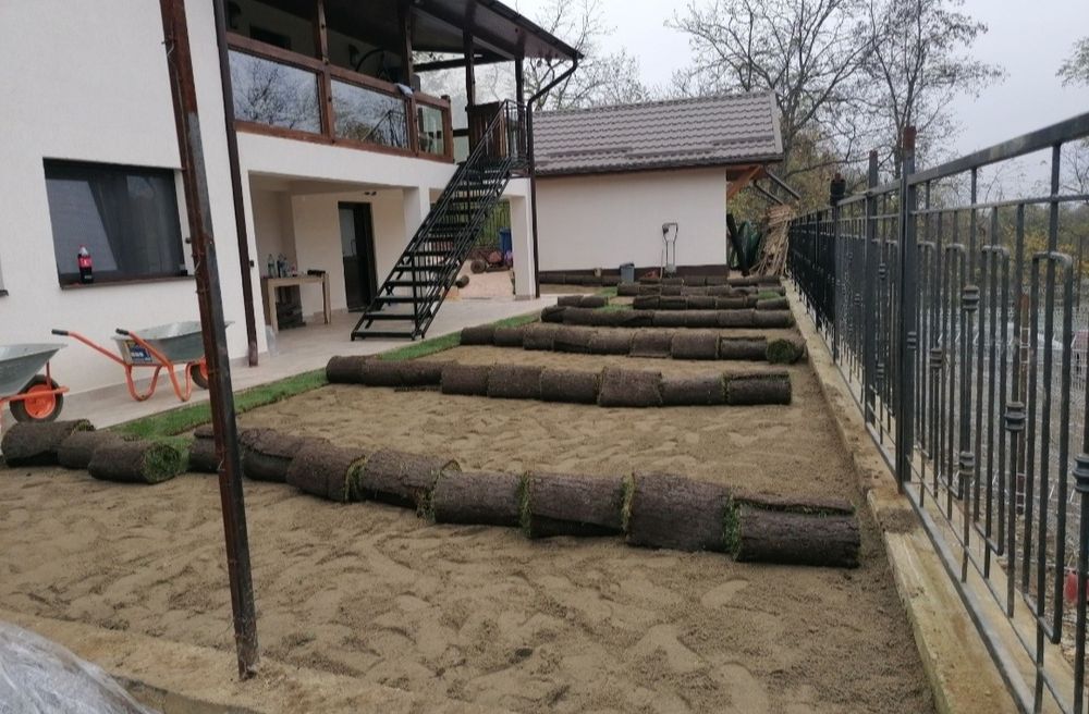 Gazon rulou de trafic 24 de lei m2. Transport și montaj inclus în preț