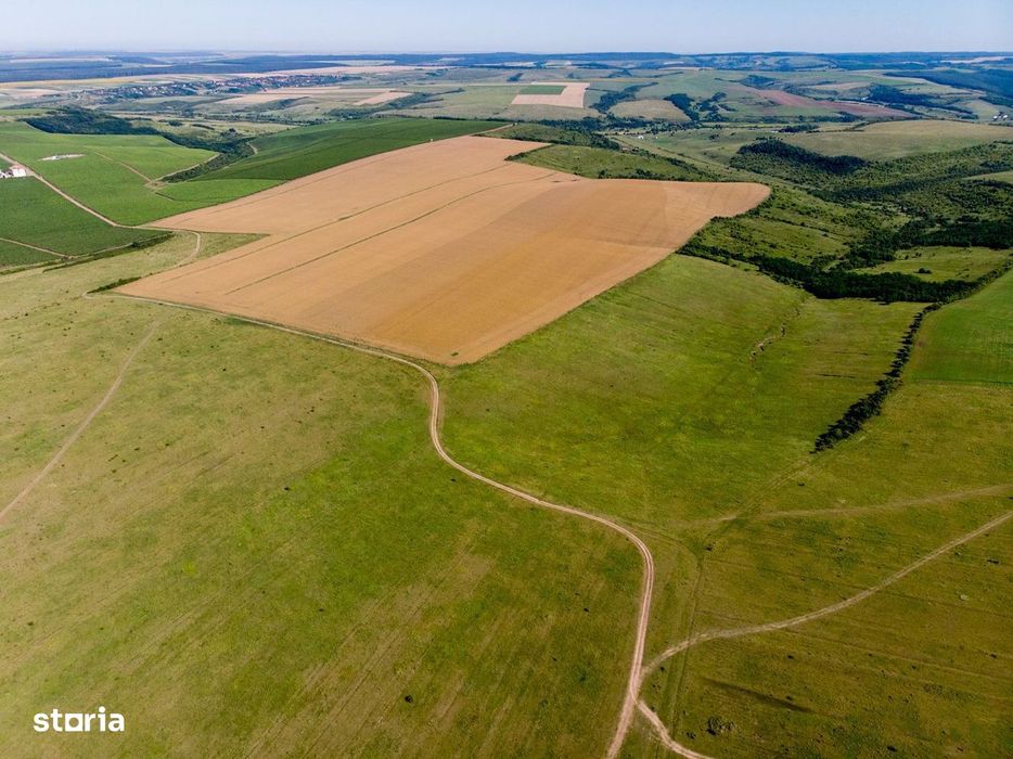 Teren arabil de 62 hectare în Prahova