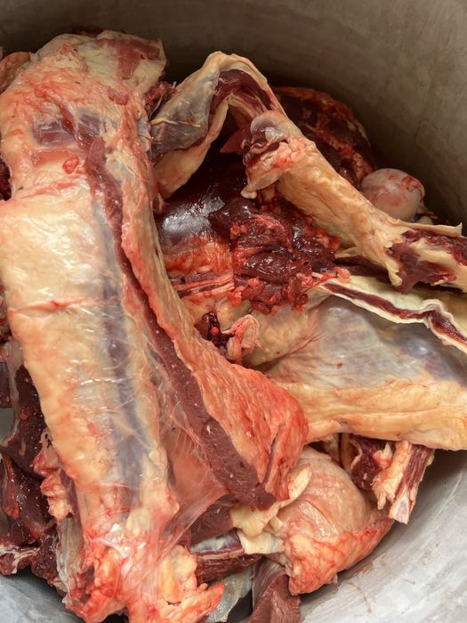 ет жілік сиыр еті