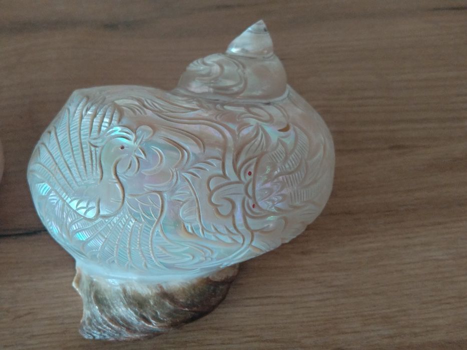 Продавам седефени рапани с ръчна резба върху тях