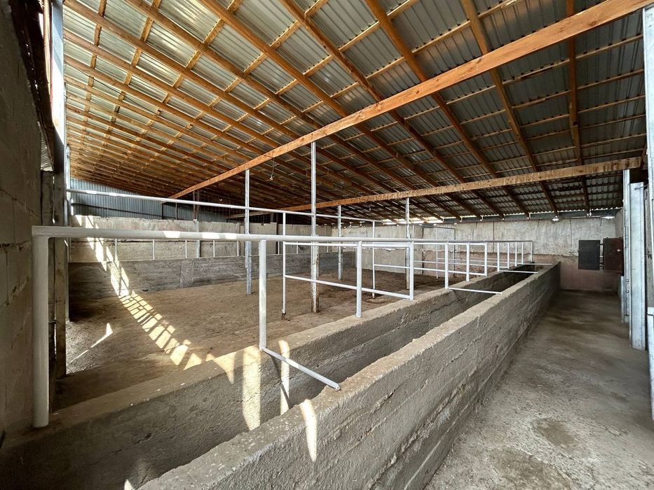 Дом жамбыл савхоз