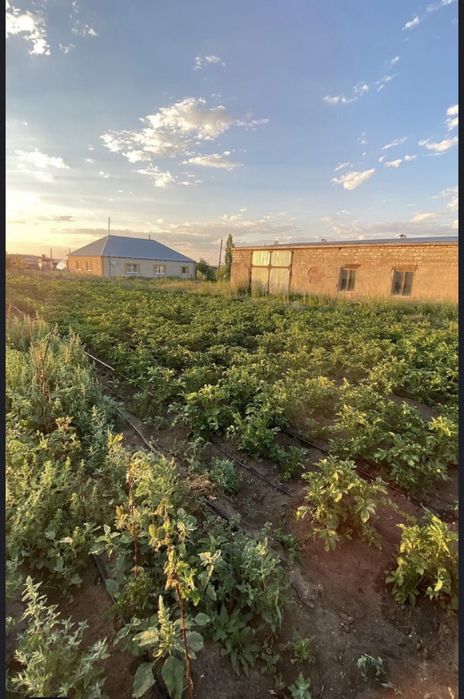 Продается дом с тепличным бизнесом