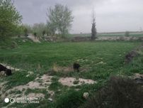 Учаска сотилади 15сутик
