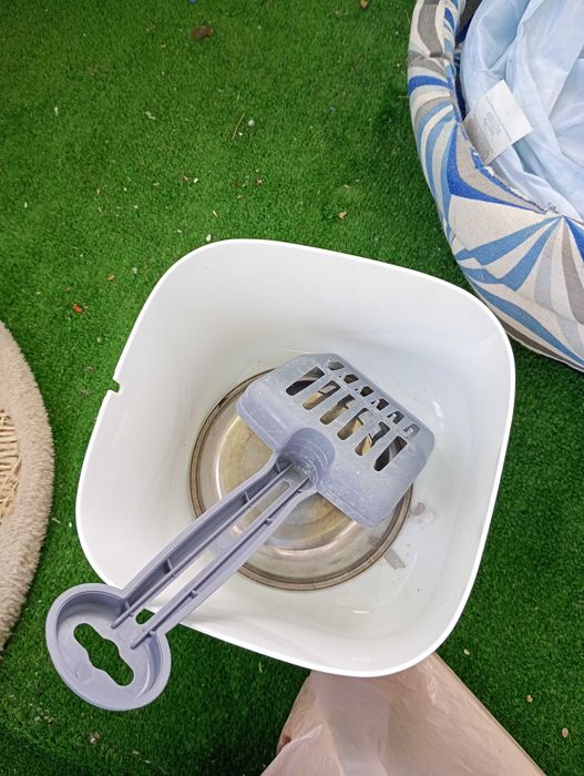 Accesorii pisici/motani