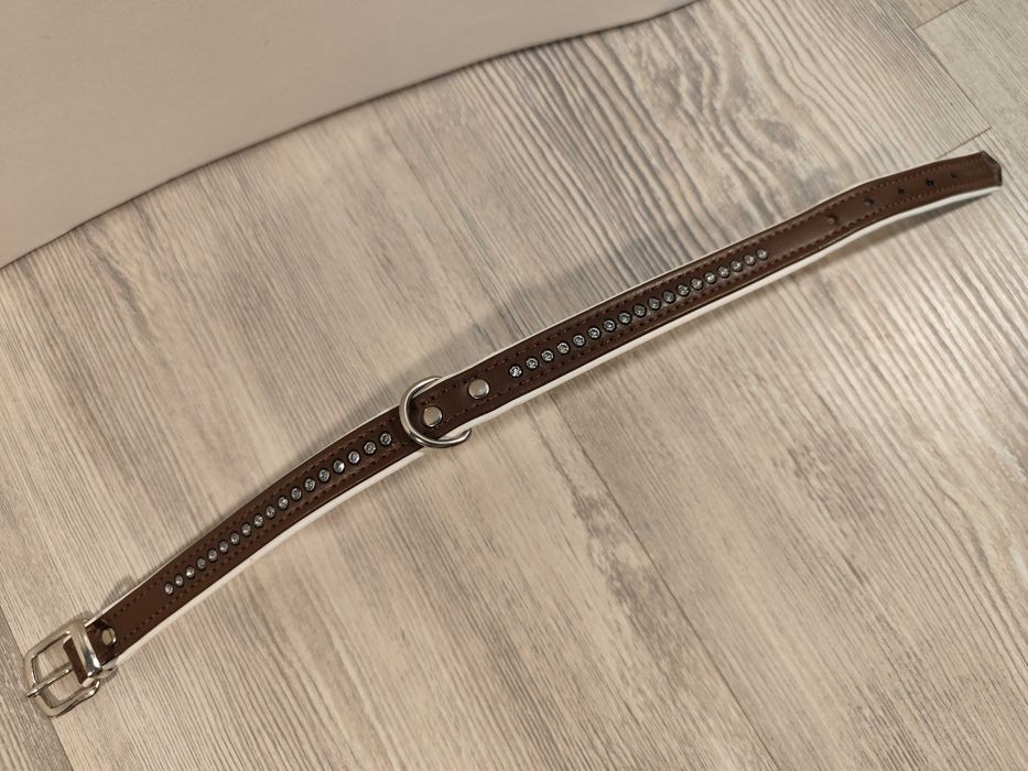 Zgarda caine catelus mic, bichon, noua HUNTER