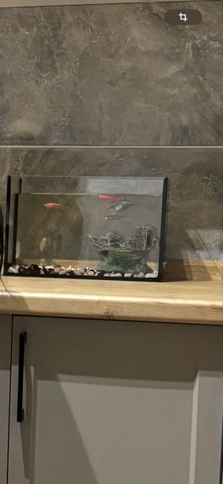 Продам аквариум 10л