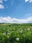 Teren agricol 12 ha parcelat | loturi 0,14-1 ha