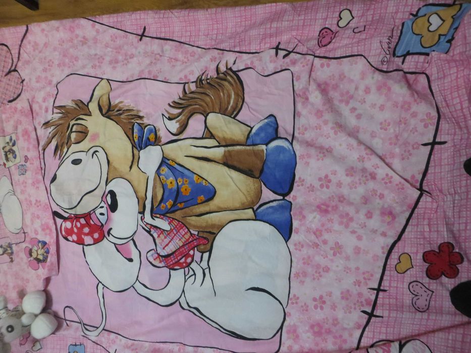 Детски горен чаршаф и калъфка Diddl friends
