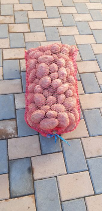 Vând cartofi de consum