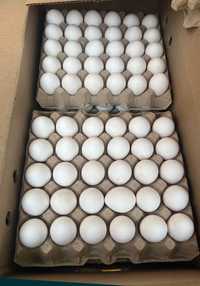 Продается  яйца на прямую с птицефабрики