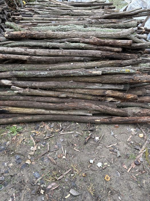 Салкъмови колове