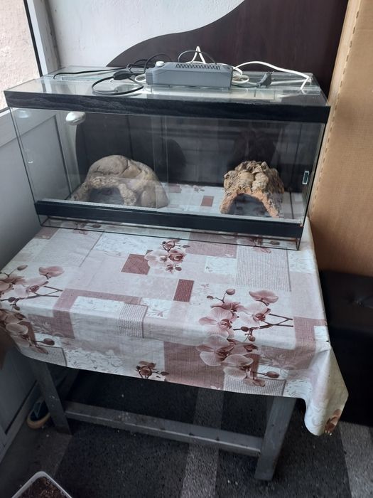 Напълно оборудван терариум