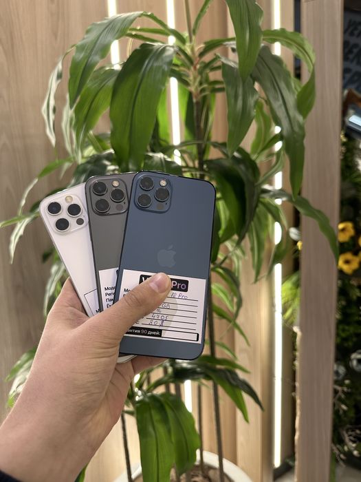 iPhone 12 Pro Variant