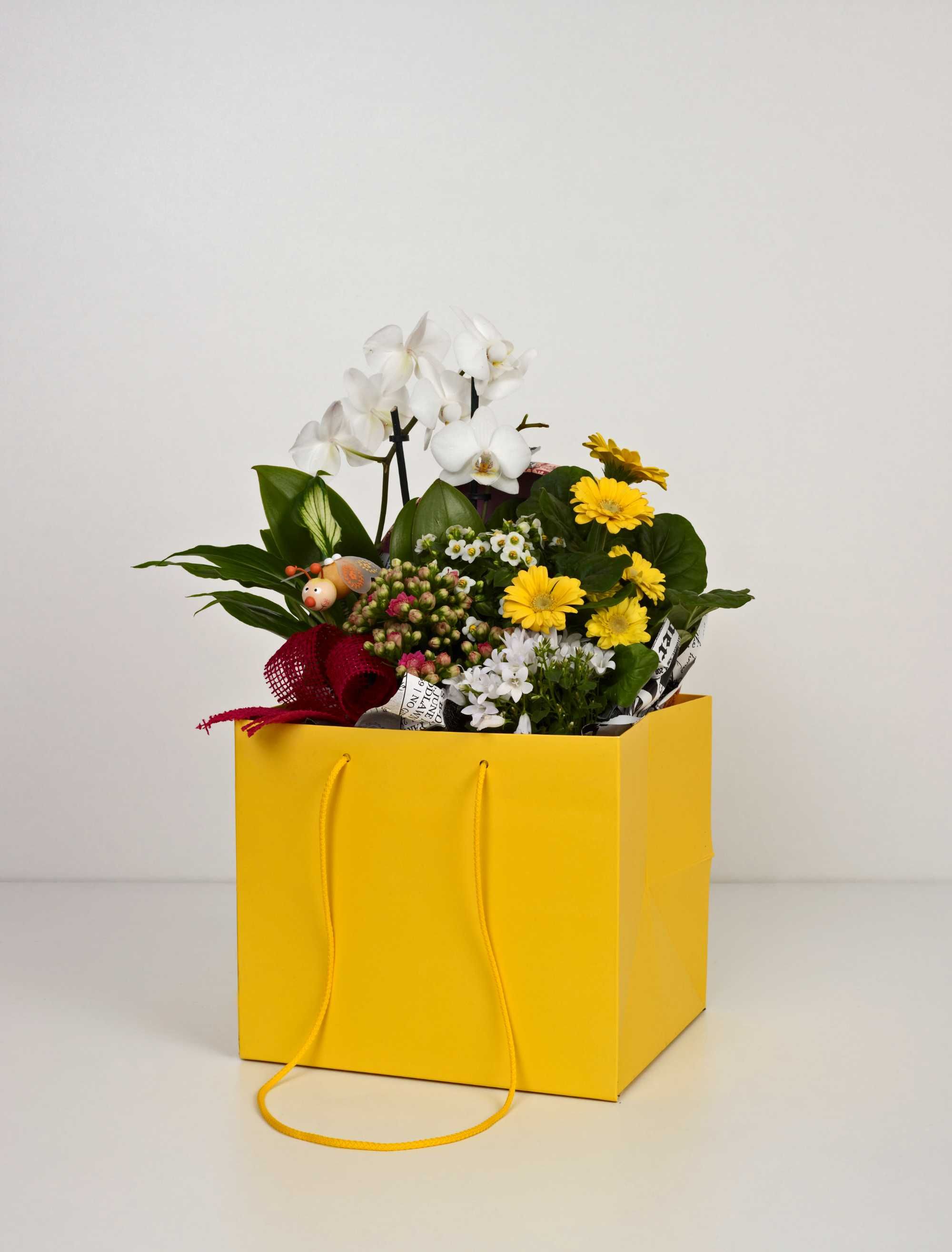 Pungi / punga pentru flori, din carton/hartie. Punga ghiveci /Orhidee