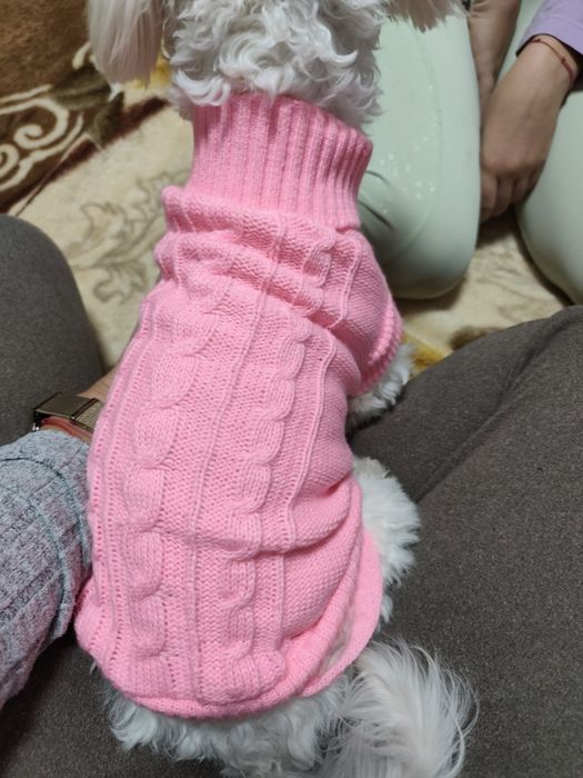 Pulover tricotat pentru cățel