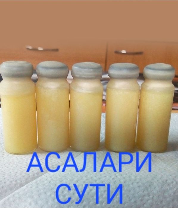 Тоза тог асали матични малачка гулчанги праполиц