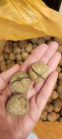 Продам орехи тонкокорые