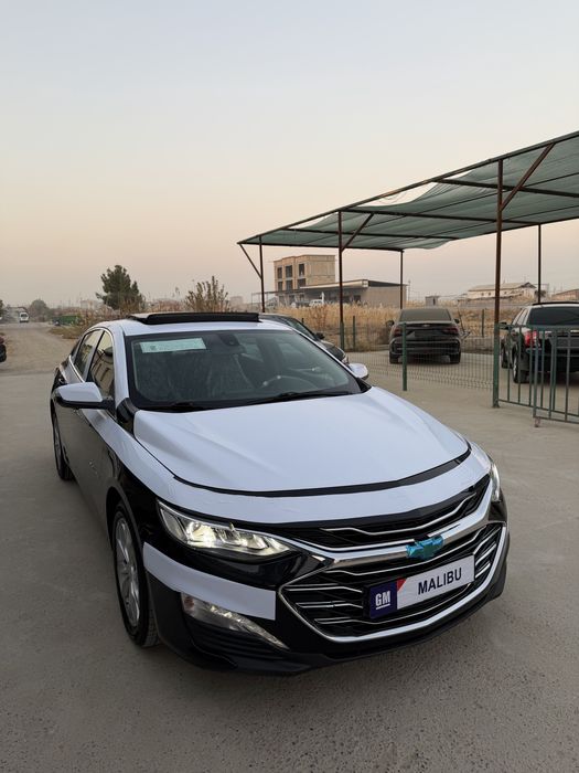 Malibu 2 primier tozza 20/2021