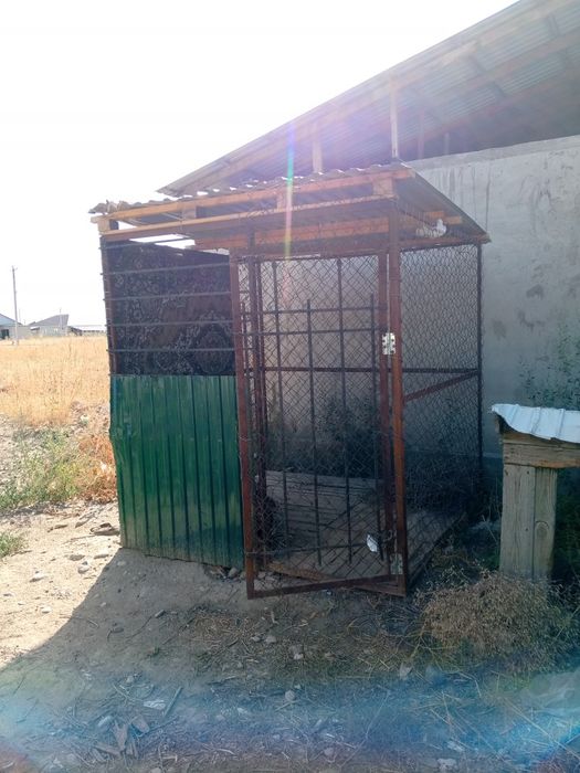 Волиер для собак