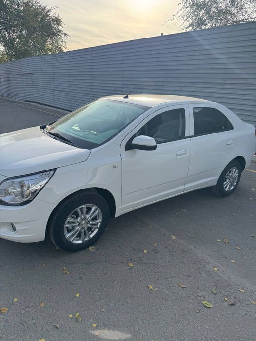 COBALT STYLE MCM  2025/2026 Bez probeg