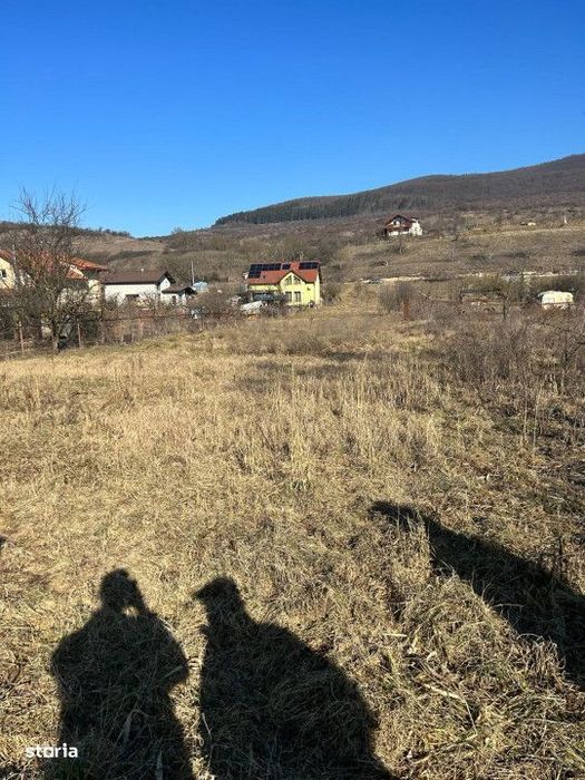 Teren intravilan pentru casa 2400 mp front 16ml Radaia sub pretul piet