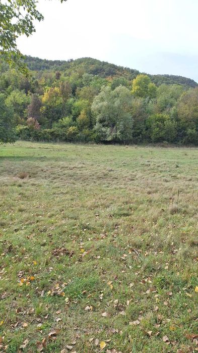 Vând teren langa apa  3 euro mp MEHADIA la 8 km de BĂILE HERCULANE