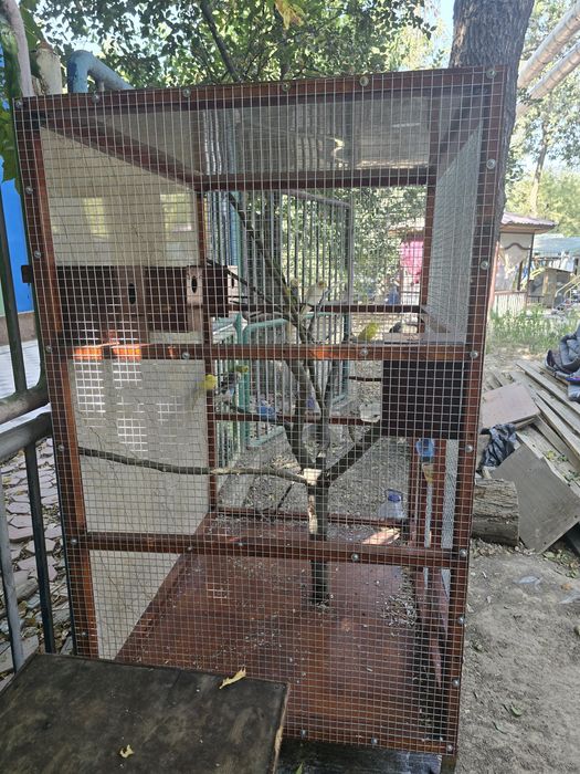 Продажи клетка с попугаями