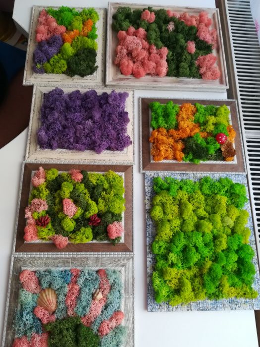 Perete/tablou natural licheni