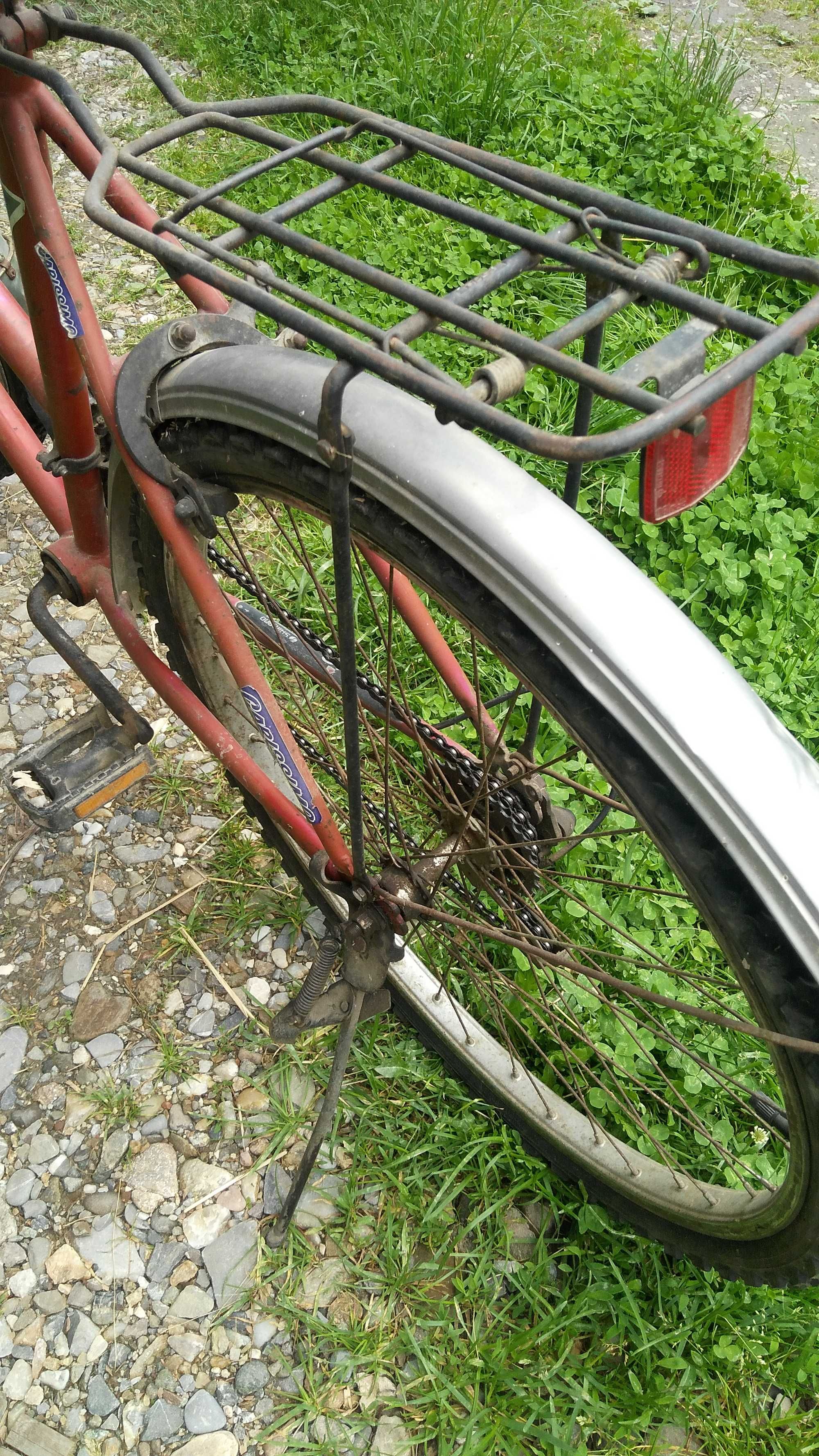 Bicicleta damă Carissimo Avanti