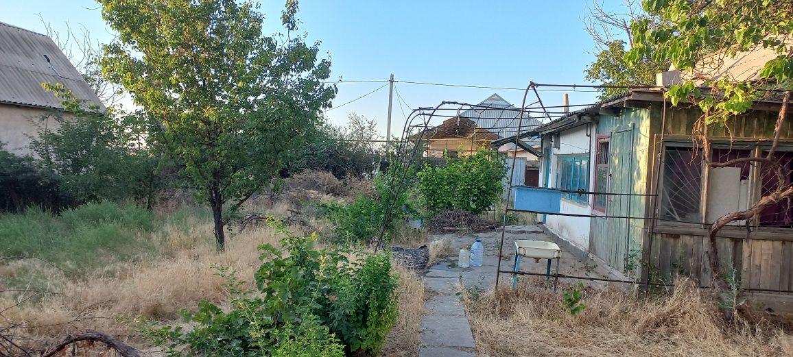 Дача Жана турлан