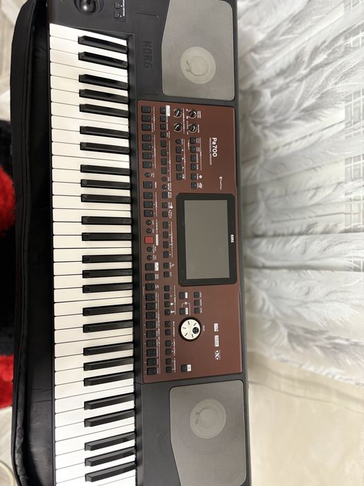 Se vinde korg pa700
