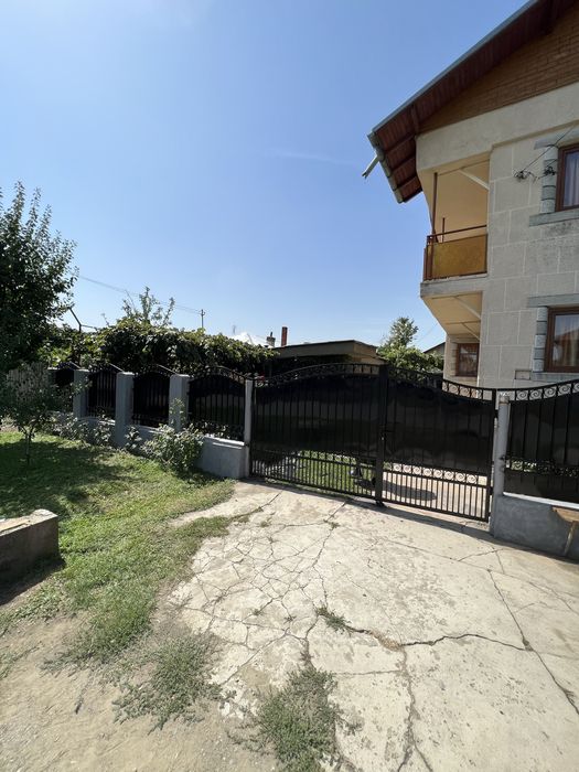 Garduri si porți din fier forjat