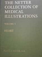 Учебник по медицина - сърце