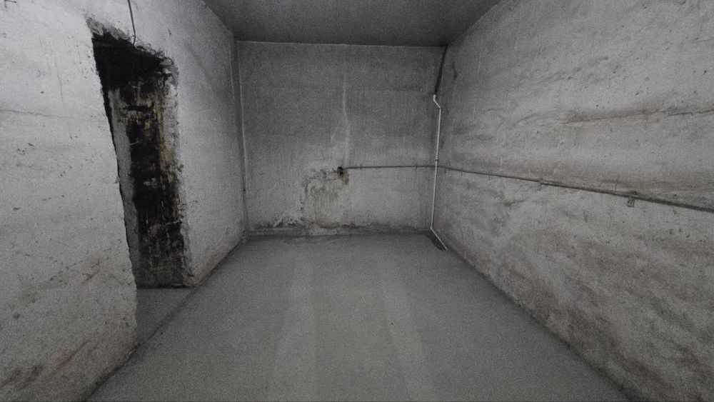 Помещение в центре города под зоогостиницу, хостел, игровой клуб